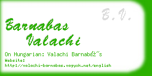 barnabas valachi business card